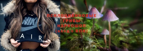 ГАЛЛЮЦИНОГЕННЫЕ ГРИБЫ Алзамай