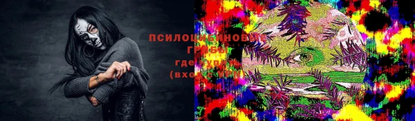 PSILOCYBIN Абинск