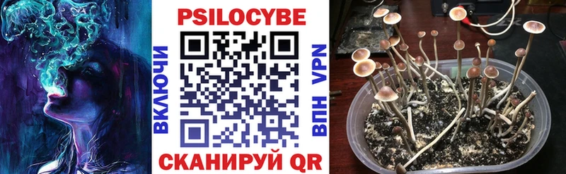 Галлюциногенные грибы мухоморы Благодарный